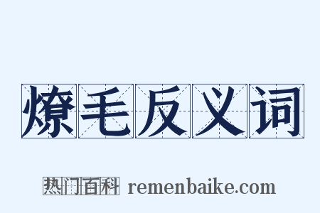 燎毛反义词是什么意思的图片